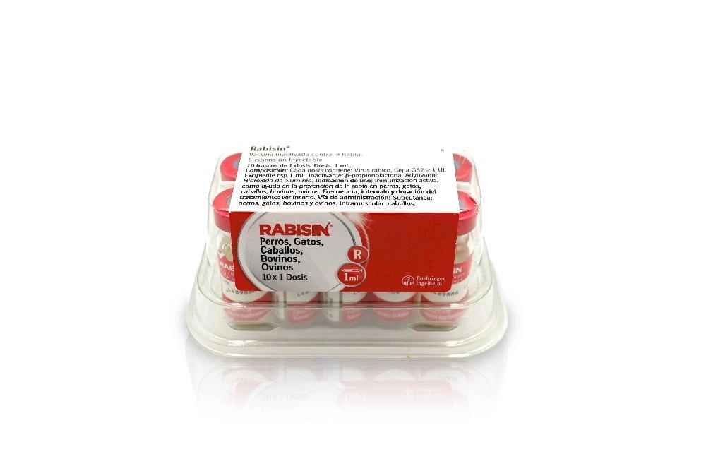 RABISIN  CAJA X 25 DS