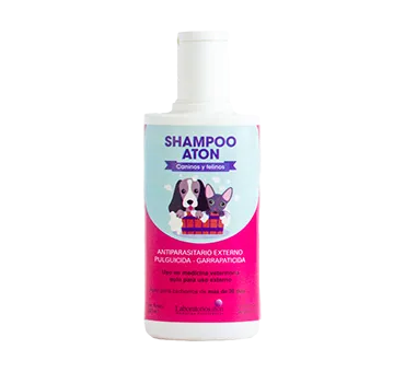 Shampoo x 250 ml