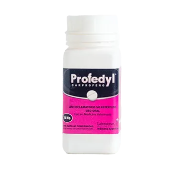 Profedyl x 60 comp. De 25 mg