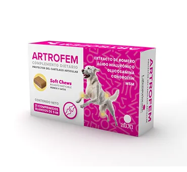 Artrofem x 21 tabletas x 5 grs c/u