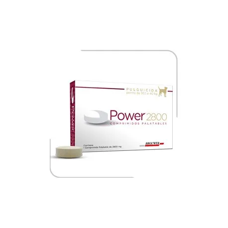 POWER COMP. 30,1-40 KG.