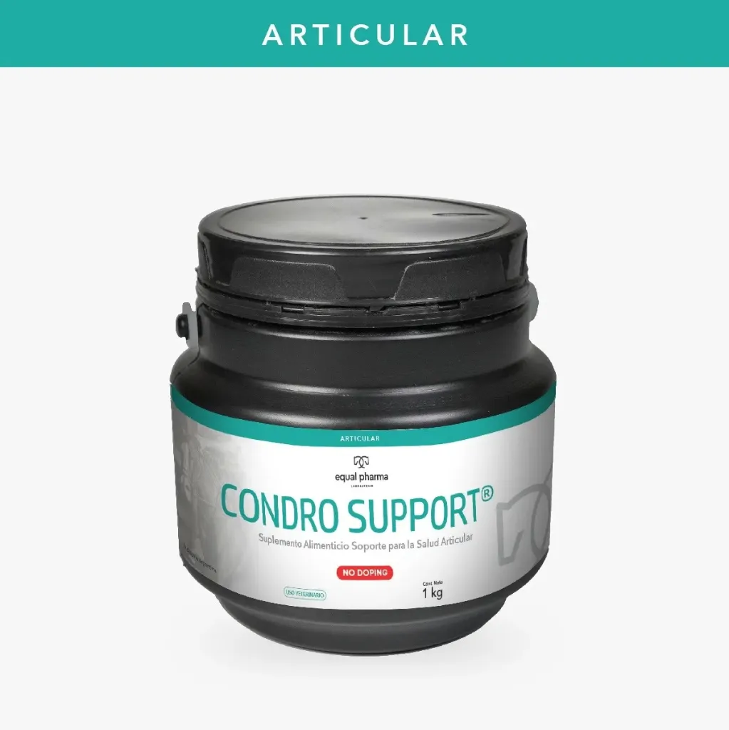 CONDROSUPPORT CAJA 8 X 200 GR