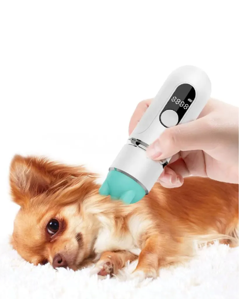 Pet Massage