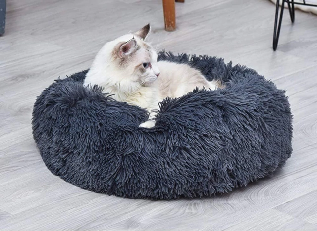 Zip Love Bed 60 cm CON CIERRE